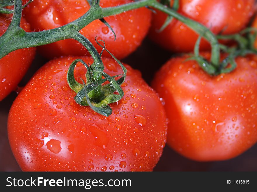 Bunch of wet tomatos closeup. Bunch of wet tomatos closeup