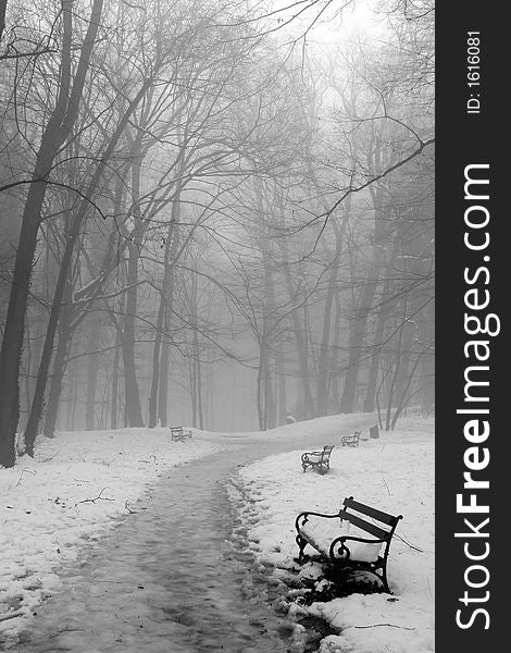 Benches in woods under snow