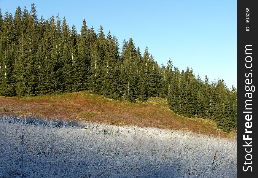 Mountain slope in december in Tatra mountain, Poland