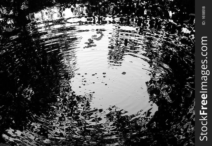 Concentric Wave on water and trees reflection. Concentric Wave on water and trees reflection
