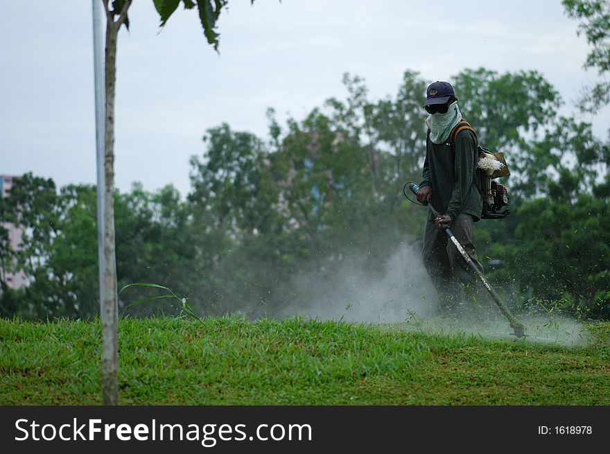 Worker cutting grass