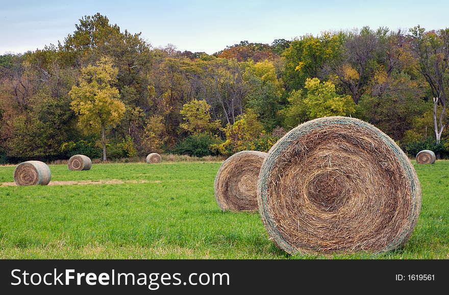 Bales of hay in an autumn field. Bales of hay in an autumn field