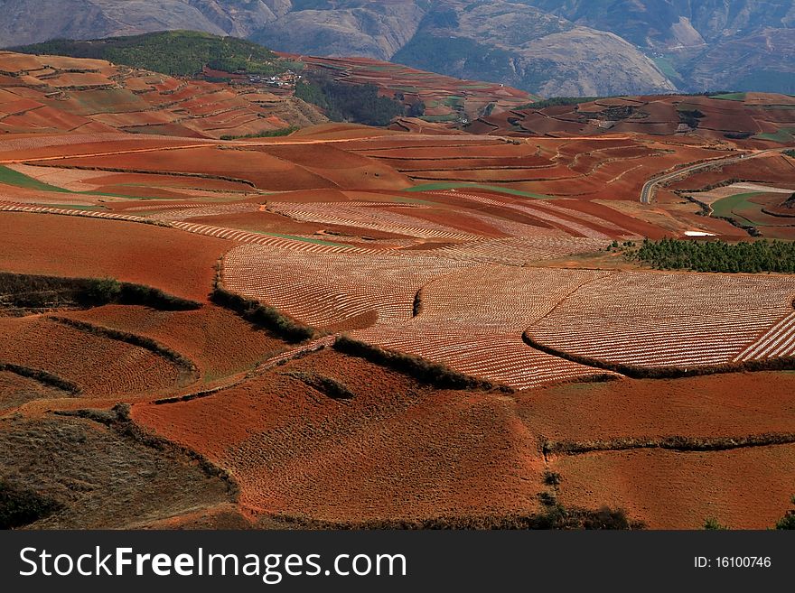 A road in the west of china