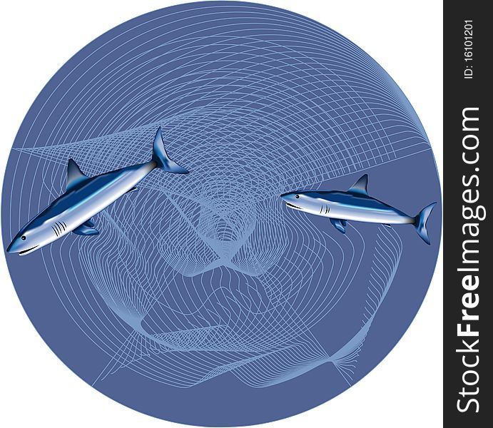 Two sharks in the blue circle