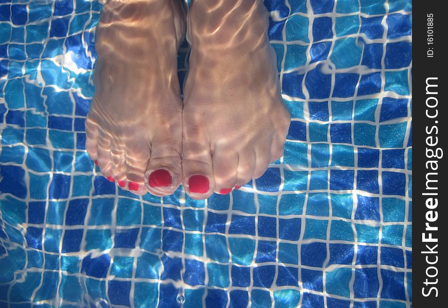 Legs in pool under water. Legs in pool under water