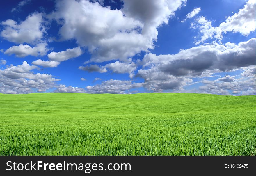 Perfect sky with clouds and green field. Perfect sky with clouds and green field
