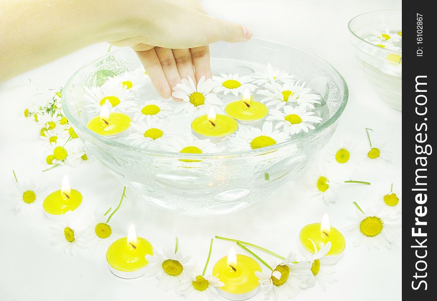 Hand in plate with candles water for spa with daisy flowers. Hand in plate with candles water for spa with daisy flowers