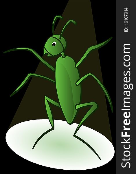 Graphic illustration of Dancing Bug