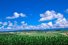 Green Grass Under Blue Sky Stock Photos Green Grass Under Blue Sky Stock Photos