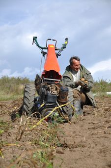 Farmer Plowing The Ground Stock Image Farmer Plowing The Ground Stock Image