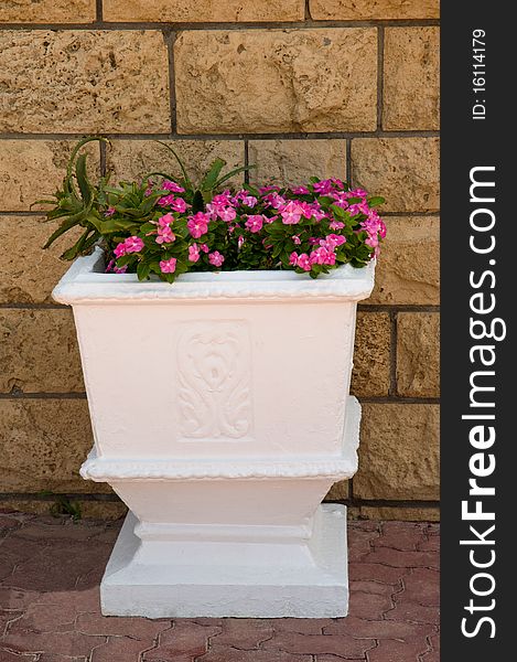 Large Pot With Pink Flowers.