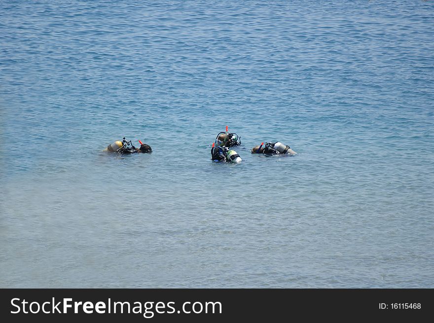 Four divers in the sea