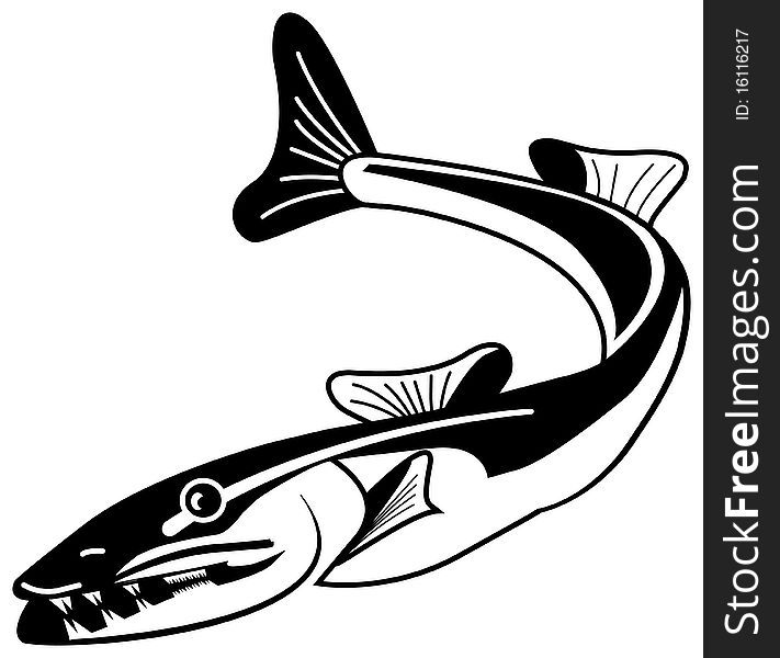 Black and white illustrations of fish. Black and white illustrations of fish