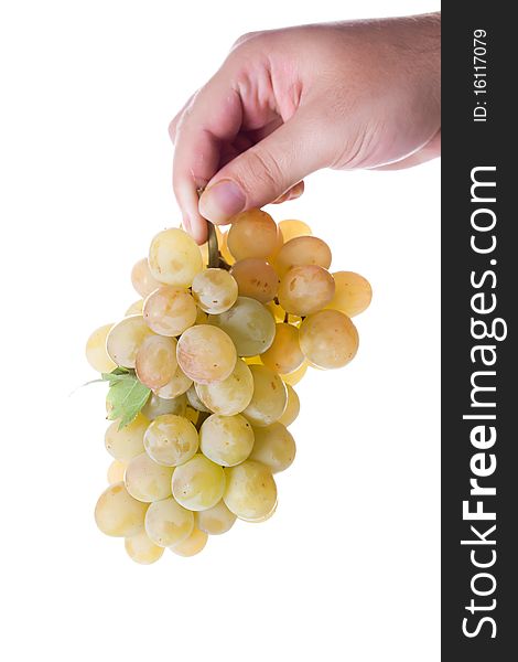 Man's hand holding a fresh cut bunch of grapes isolated on white