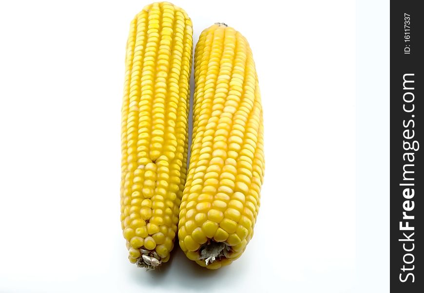 Two ears of corn are the friend near the friend