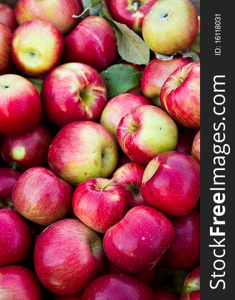 Pile of apples for sale at a farmer's market