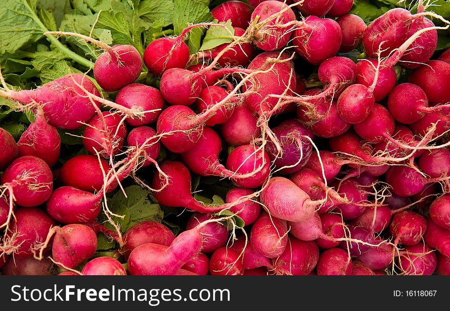 Bunches of radishes for sale at a farmer's market