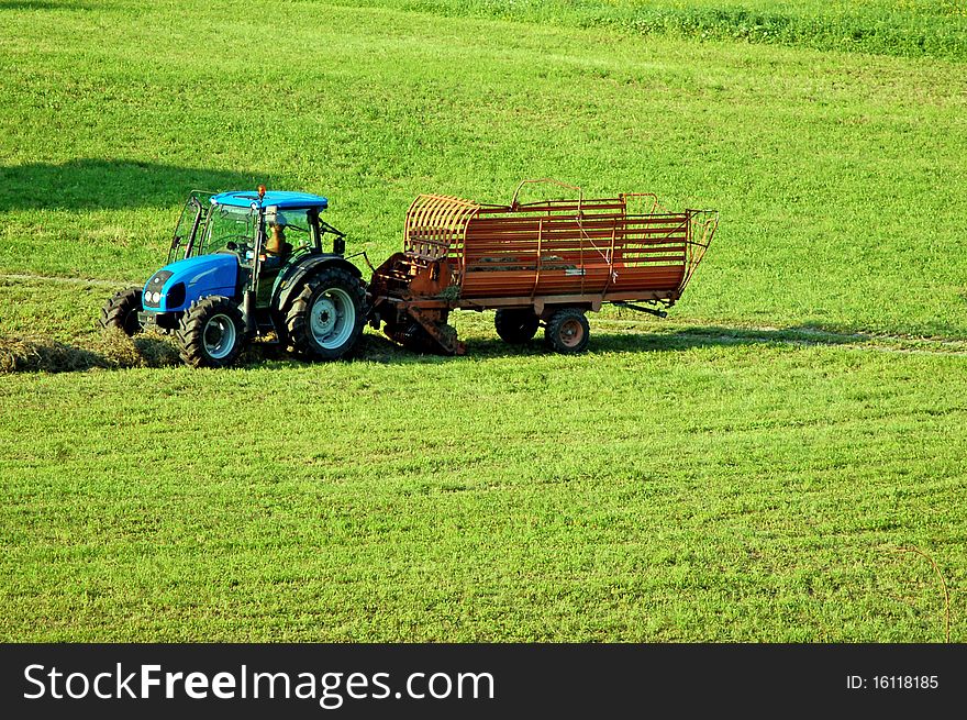 A tractor collects the grass of the field to make hay. A tractor collects the grass of the field to make hay