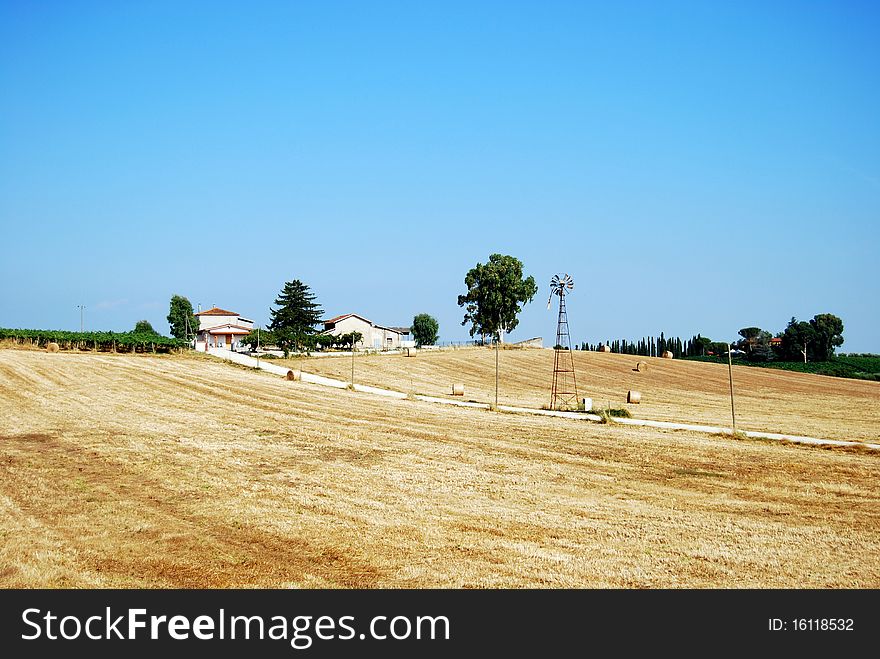 A view of the crop season of Velletri near Rome. A view of the crop season of Velletri near Rome