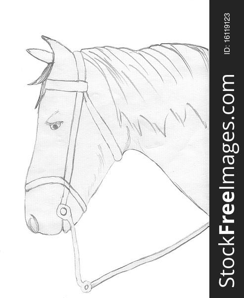 Hand drawn image of a horse. Hand drawn image of a horse