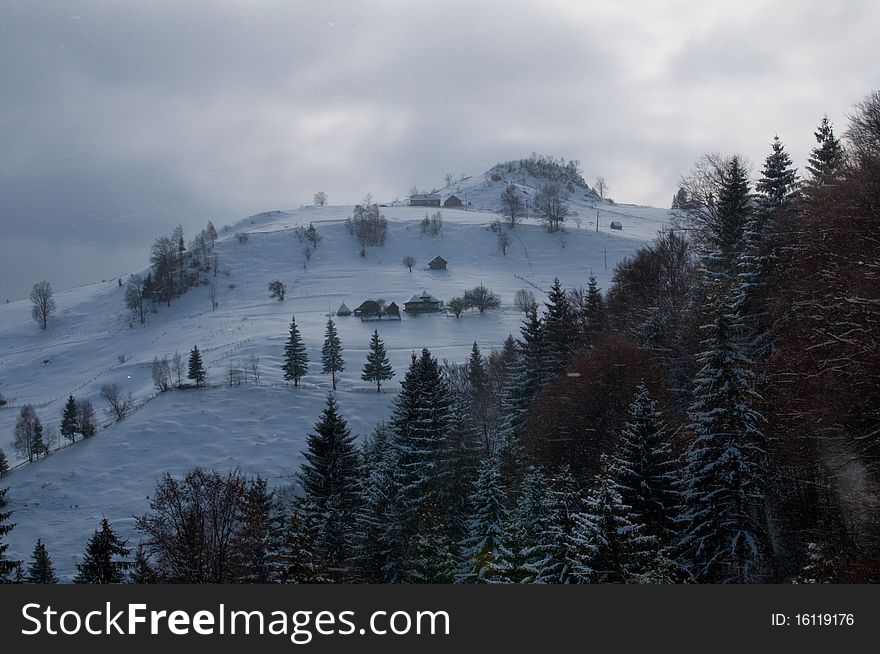 Winter Landscape in mountains with forest
