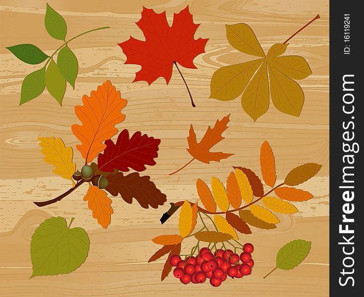 Silhouettes of autumn leaves. All elements and textures are individual objects. Vector illustration scale to any size.