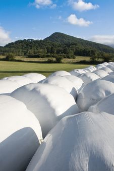 Hay Balls In White Plastic Cover Wrap Bales Stock Photography Hay Balls In White Plastic Cover Wrap Bales Stock Photography