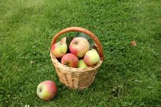 Apples Stock Photo Apples Stock Photo