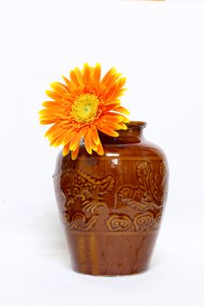 Orange Gerbera Stock Images Orange Gerbera Stock Images