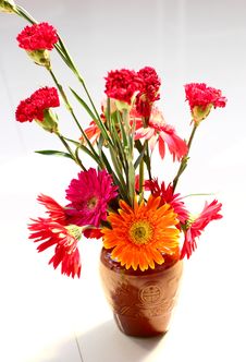 Carnation And Gerbera Royalty Free Stock Photography Carnation And Gerbera Royalty Free Stock Photography