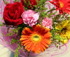 Carnation And Gerbera Stock Photos Carnation And Gerbera Stock Photos