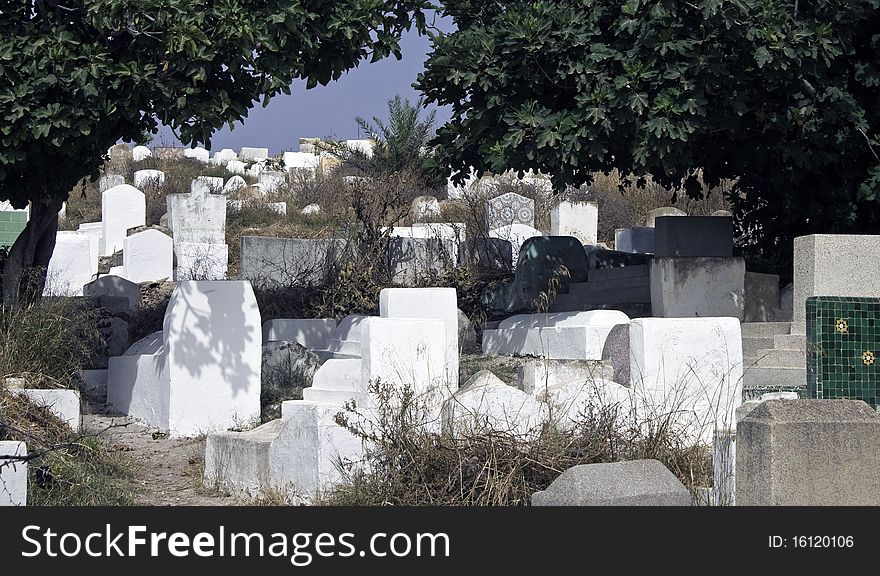 Cemetery In Morocco