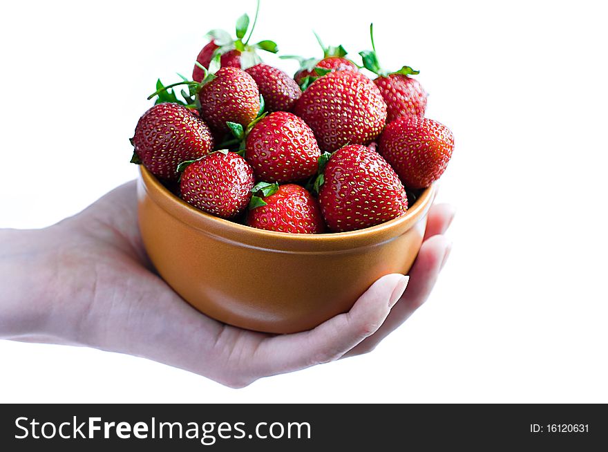 Delicious strawberries in bowl in female hands isolated on white