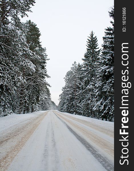 Long country road in snow