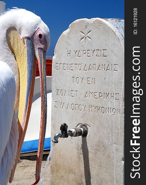 Drinking pelican from Mykonos, Greece