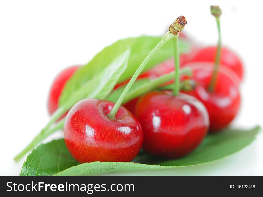 Two red cherries shot in studio on white background. Two red cherries shot in studio on white background