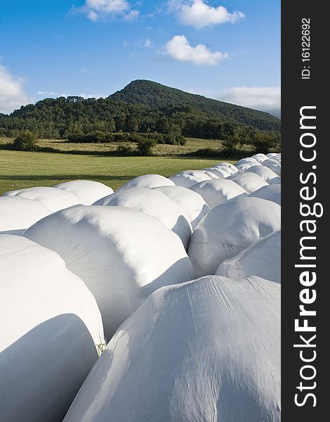 Hay balls in white plastic cover wrap bales stacked outdoor, for feeding animals in farms