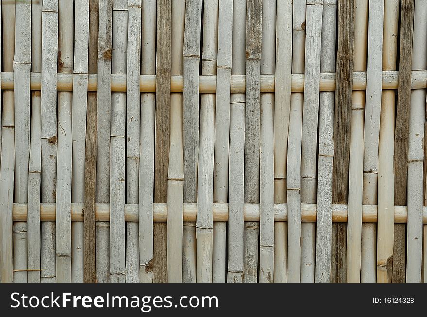 Bamboo texture