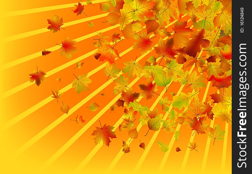 Autumn background