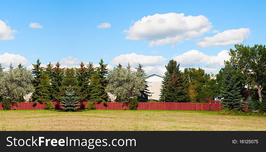 A house hidden behind the big trees. Panorama view. A house hidden behind the big trees. Panorama view.