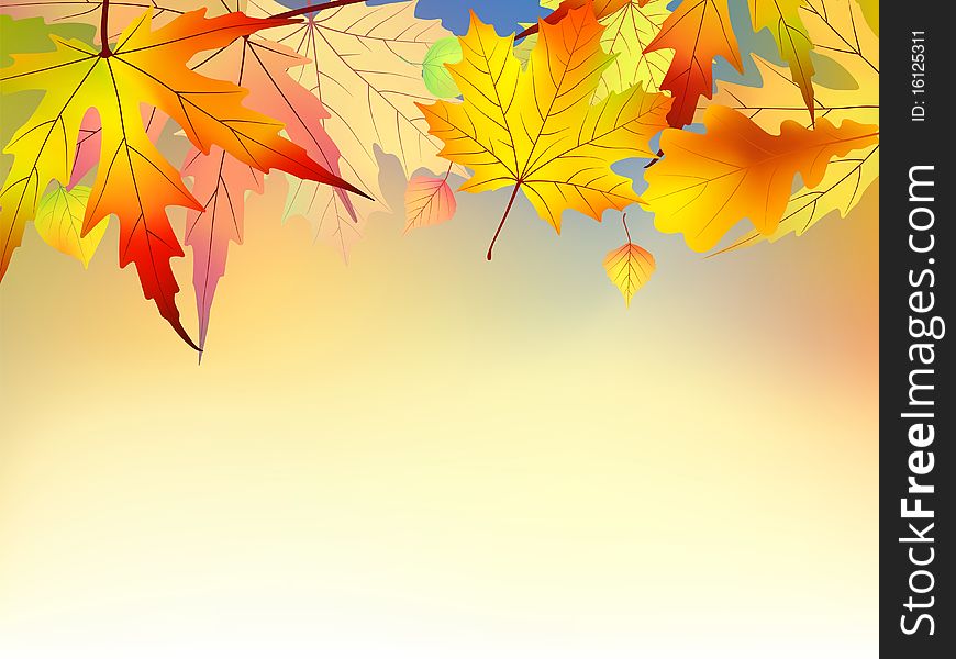 Colorful autumn leaves background. EPS 8 file included