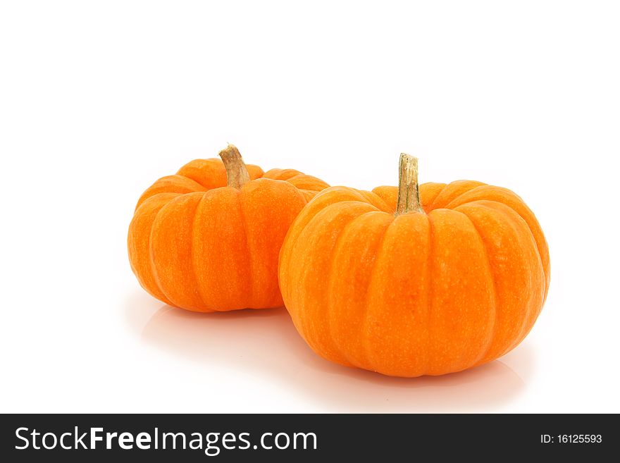 Orange Gourds Shot On White Background. Orange Gourds Shot On White Background