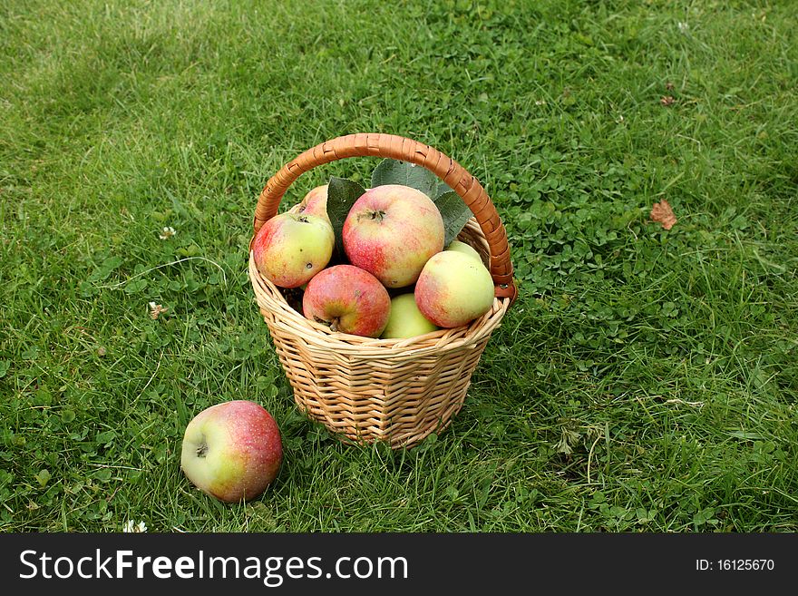 Basket with apples on grass