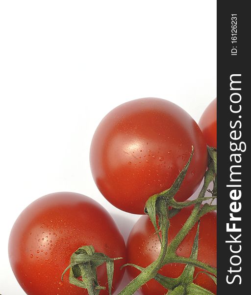 Close up of ripe vine tomatoes over white