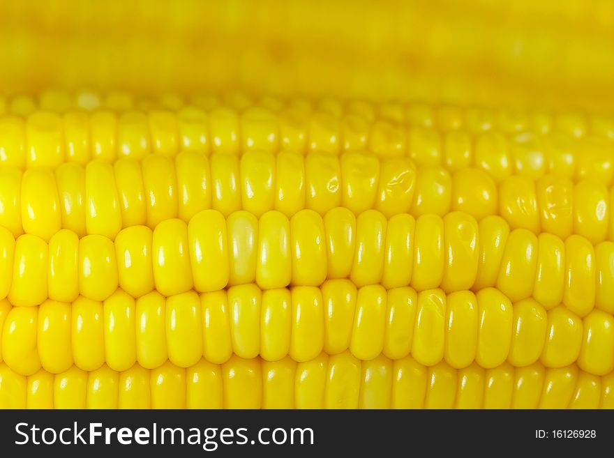 Close-up of yellow sweet corn background