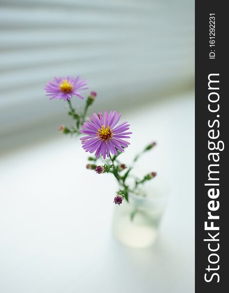 Cute bouquet of delicate purple flowers of chrysanthemums in a vase on a light windowsill.
