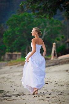Bride Walking Along Sea Coast Stock Image