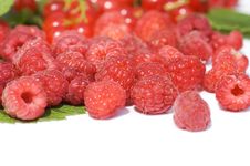 Garden Ripe Berries Isolated Stock Photography Garden Ripe Berries Isolated Stock Photography