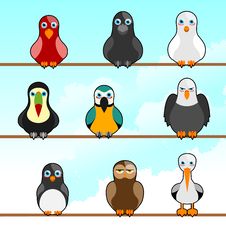 Cartoon Birds Stock Photo Cartoon Birds Stock Photo