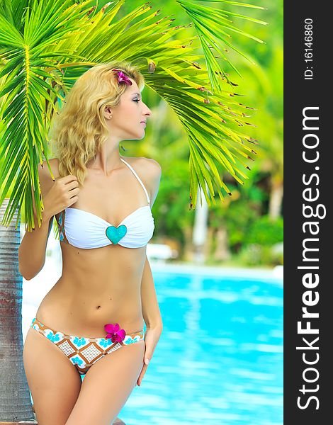 Beautiful woman near swimming pool under palm tree. Beautiful woman near swimming pool under palm tree